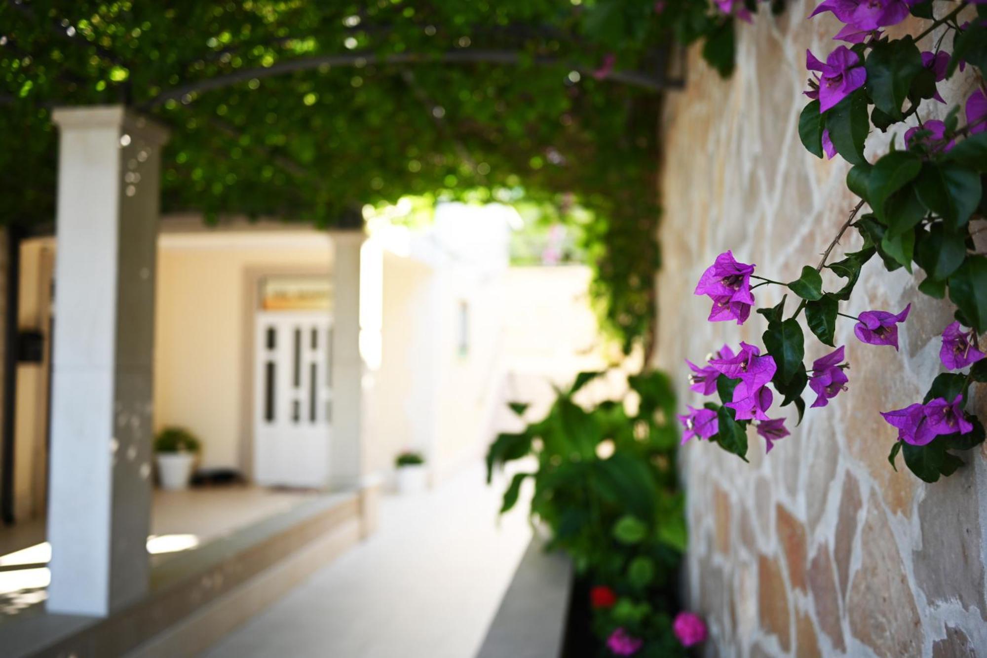 Hvar Villa Malisko Apartments Hvar Town Kültér fotó