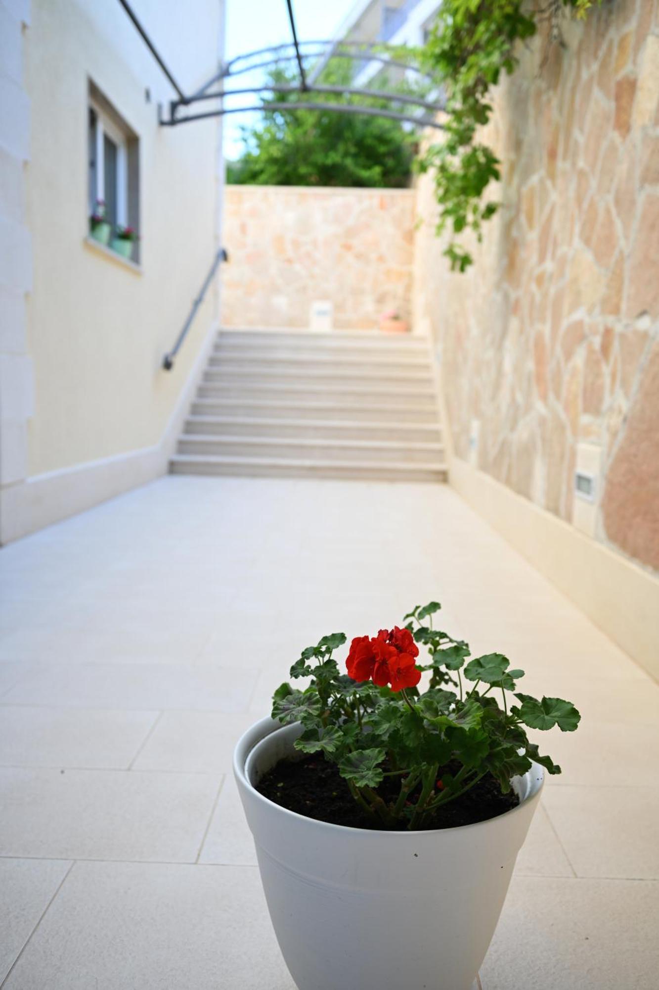 Hvar Villa Malisko Apartments Hvar Town Kültér fotó